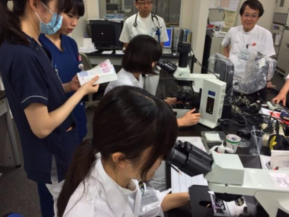 グラム染色実習（毎週木曜日）