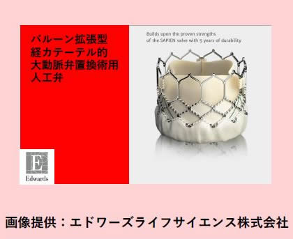 バルーン拡張型経カテーテル的大動脈弁置換術用人工弁