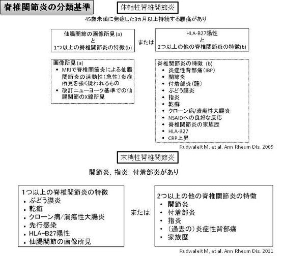 脊椎関節炎の分類基準