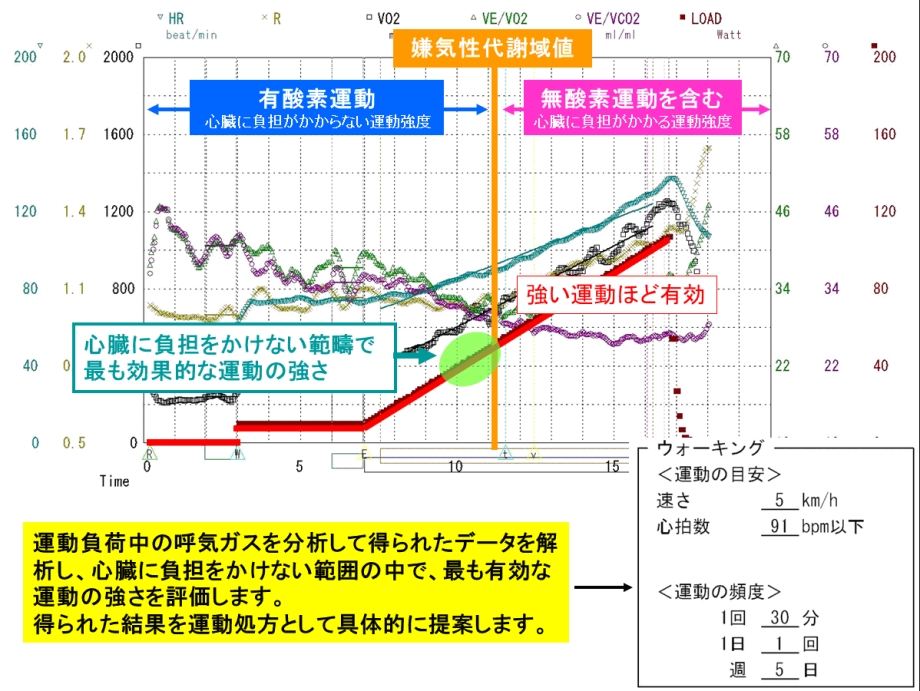 心肺運動負荷試験