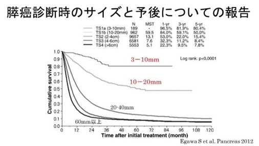 膵癌診断時のサイズと予後についての報告