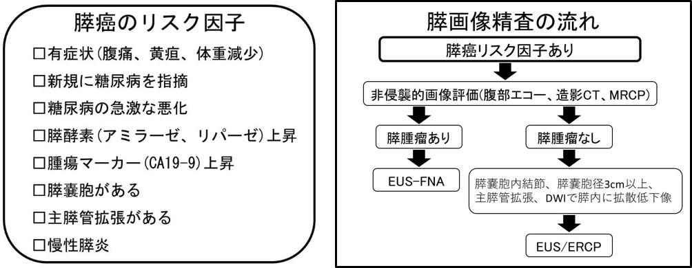 膵癌のリスク因子・膵画像精査の流れ