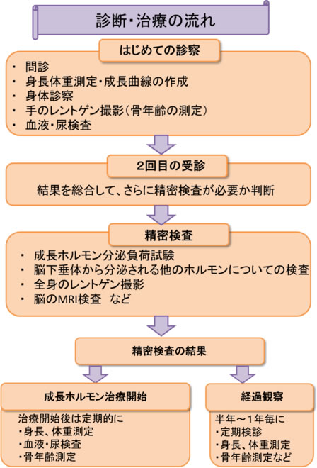 診断・治療の流れ