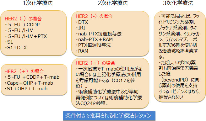 条件付きで推奨される化学療法レジメン