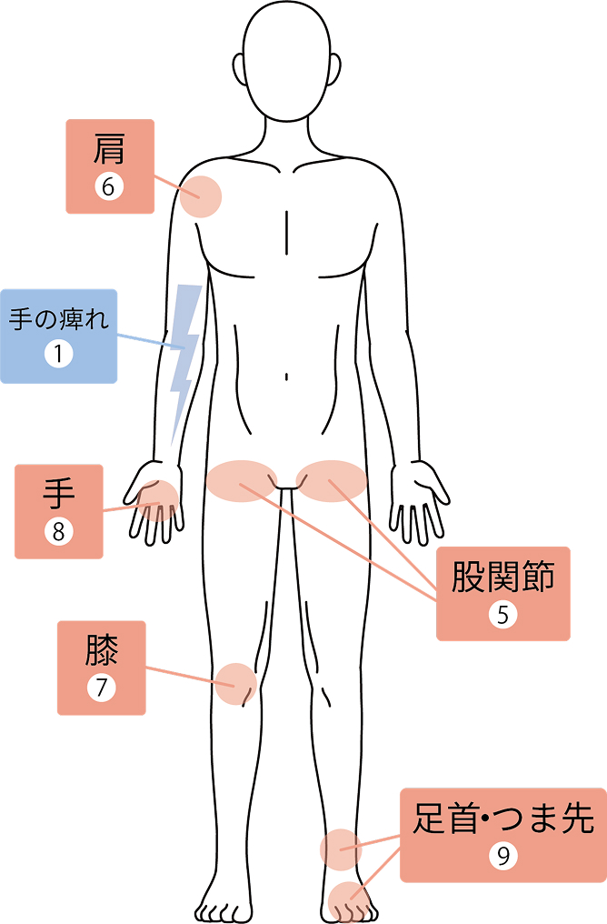 部位