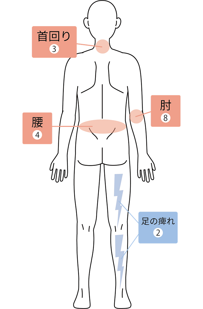 部位