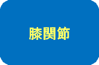 膝関節